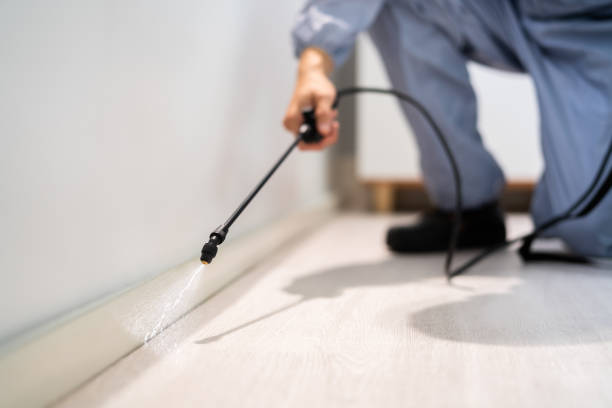 Licensed Mosquito Control service in Grass Lake, MI - Show Me Pest Control
