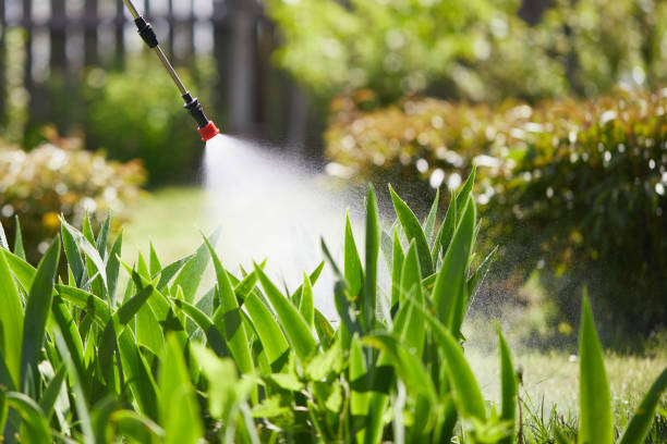 24/7 Emergency Mosquito Control experts in Grass Lake, MI