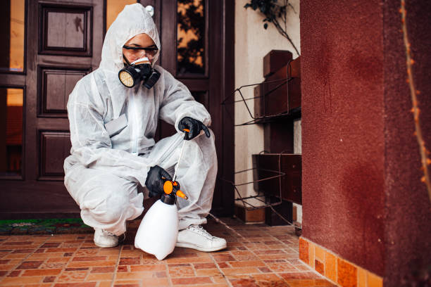 Reliable Mosquito Control contractor in Grass Lake, MI by Show Me Pest Control