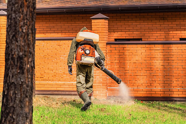 Top rated local Mosquito Control specialists in Grass Lake, MI